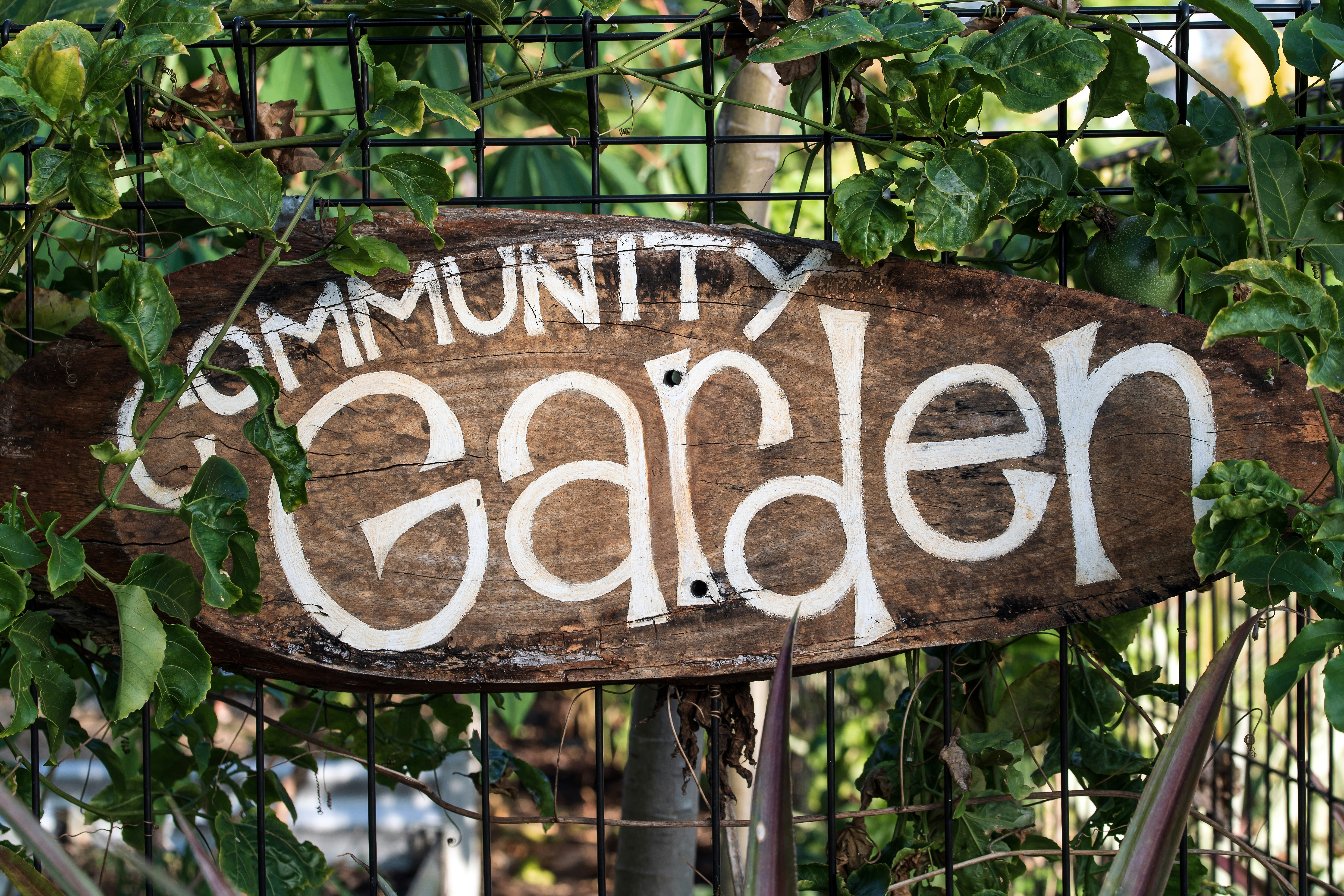 Community Service Jobs